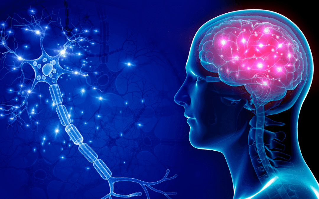 A new study finds a link between the nutrients older people eat and their mental health