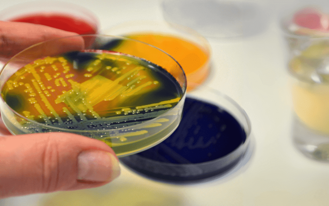 New antibiotic kills deadly superbug in early tests