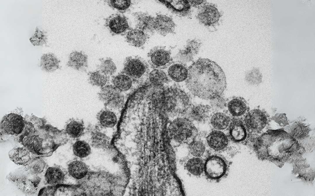 Reviving Shadows: Four Ancient Diseases Resurging in Modern Times